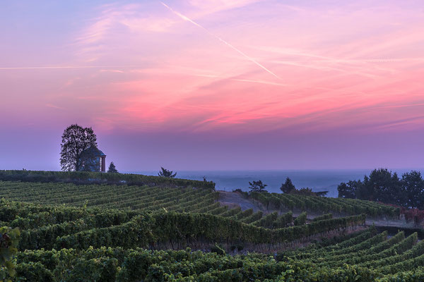 Morgenstimmung am "Deidesheimer Tempel"