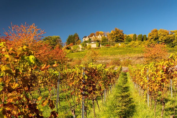 Herbstliche Landschaften bei Sankt Martin