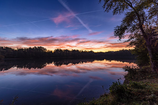 Morgenstimmung bei Hasslochs Weihern