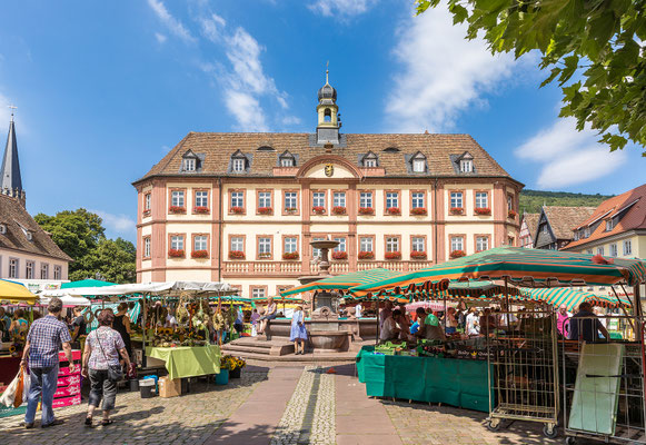 Marktplatz in Neustadt mit Rathaus