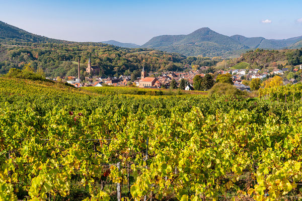 Goldener Herbst bei Albersweiler