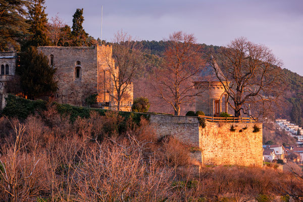 Morgenstimmung am Deidesheimer Tempel