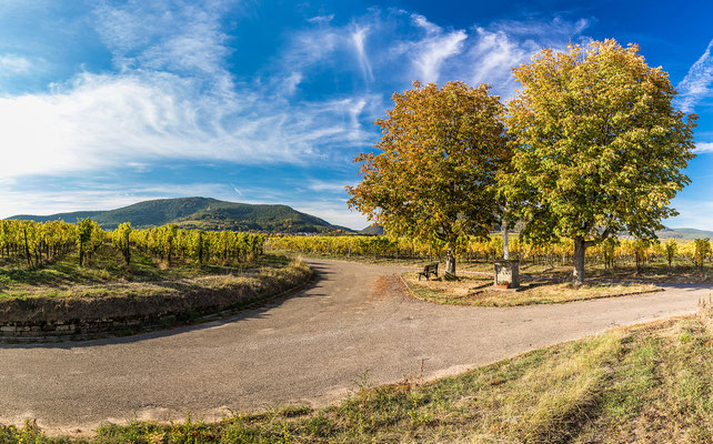 Frühherbst bei Hainfeld, Aluminium-Wechselrahmen, Fotodruck auf hochwertigem Hahnemühle-Papier mit Passepartout, 70 x 50 cm, 130 €