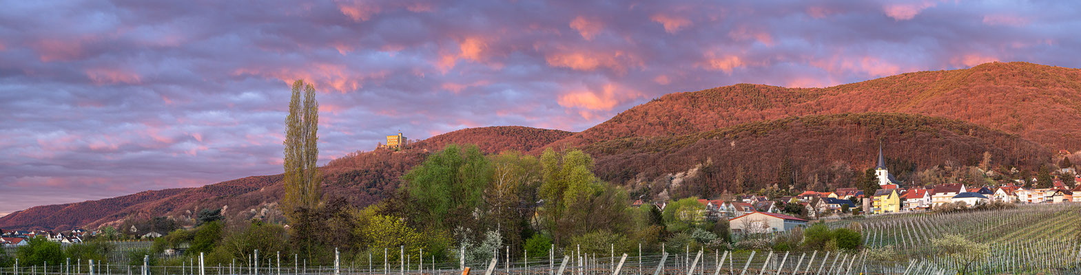 Morgenröte am Hambacher Schloss