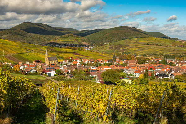 Herbstlandschaften bei Birkweiler