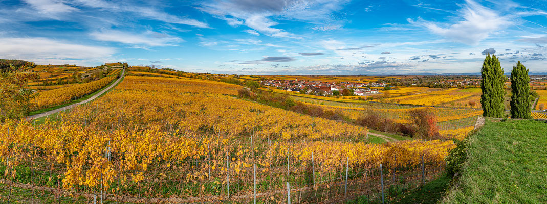 Herbststimmung am Michelsberg