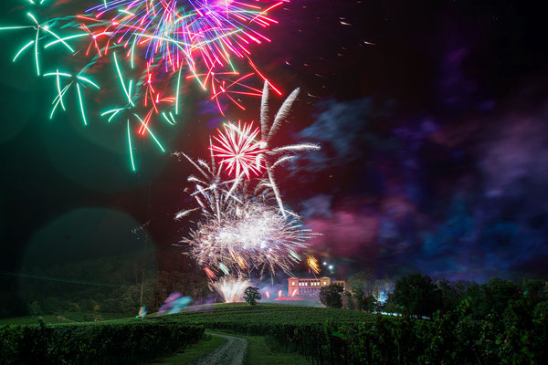 Feuerwerk Schlossfest Villa Ludwigshöhe