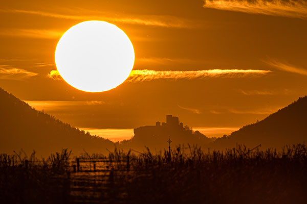 Sonnenuntergang hinter der Burg Trifels