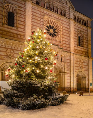 Winternacht in Speyer
