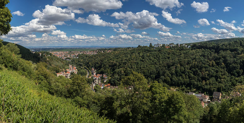 Blick vom Kloster Limburg über Bad Dürkheim