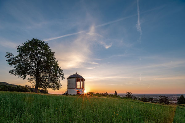 Sommermorgen über Neustadt