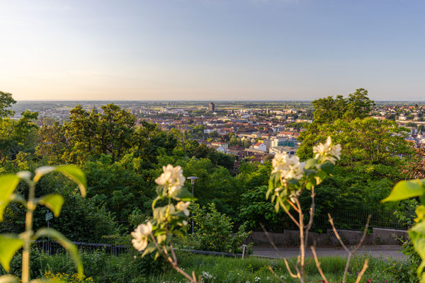 Blick auf Neustadt von den Welschterassen