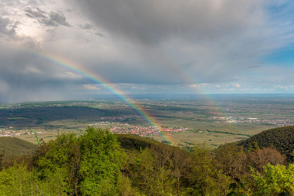 Nach dem Regen auf der Kalmit