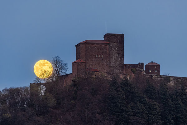 Vollmond hinter der Burg Trifels