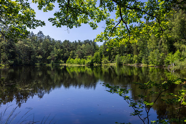 Rösselweiher bei Fischbach