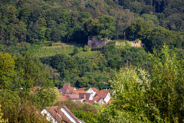 Blick über Wolfstein