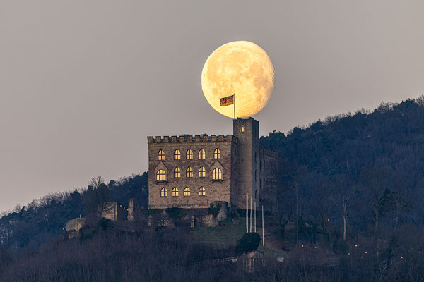 Morgendlicher Monduntergang hinter dem Hambacher Schloss