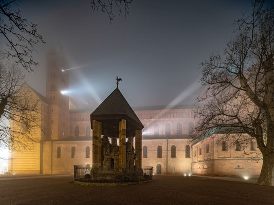 Nebelnacht am Speyerer Dom