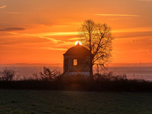 Morgenstimmung am Deidesheimer Tempel