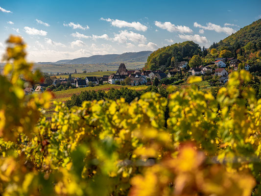 Herbstlandschaft bei Gleisweiler