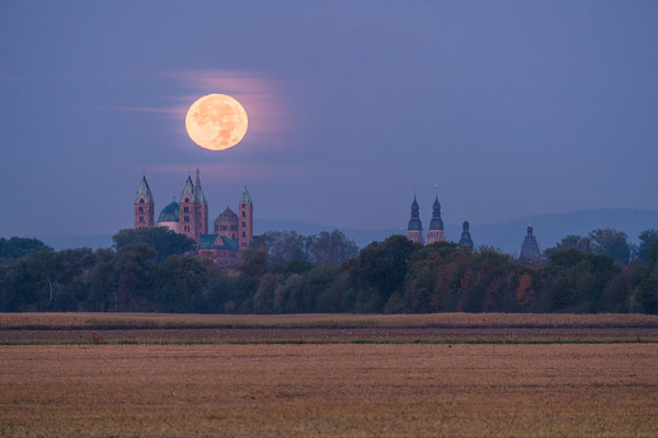 Vollmonduntergang hinter dem Speyerer Dom