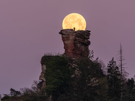 Vollmonduntergang hinter der Ruine Drachenfels