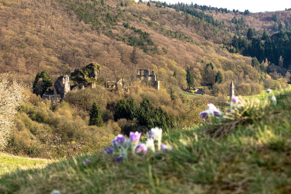 Burgruine Falkenstein