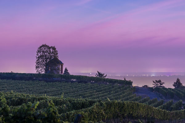 Morgenstimmung am "Deidesheimer Tempel"