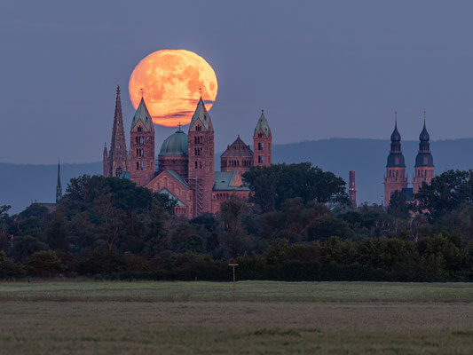 Vollmonduntergang hinter dem Speyerer Dom