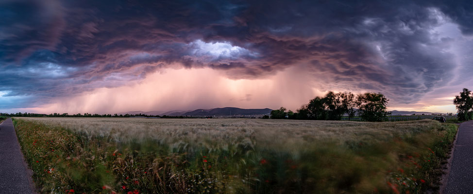 Gewitter über Neustadt