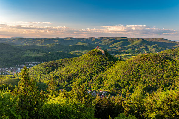 Frühsommerabend auf dem Rehbergturm