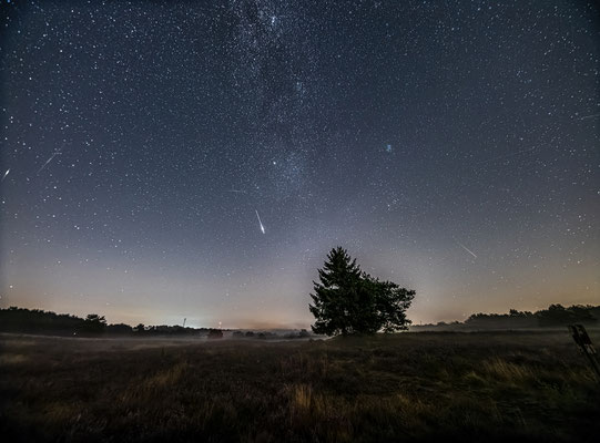Sternschnuppennacht in der Mehlinger Heide