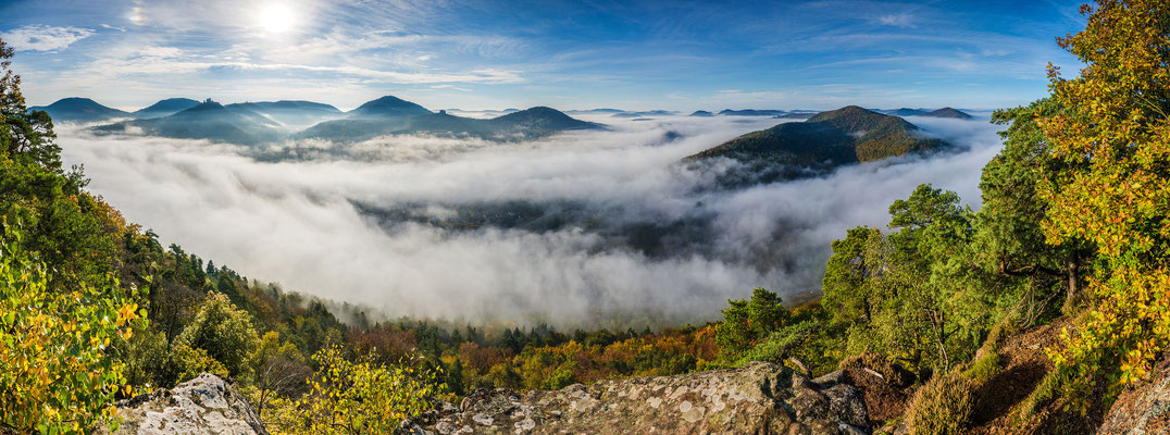 Queichtal unter herbstlichem Nebel