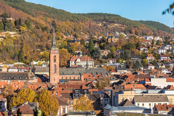 Blicke über Neustadt