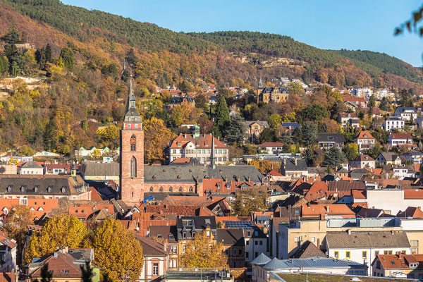 Blicke über Neustadt