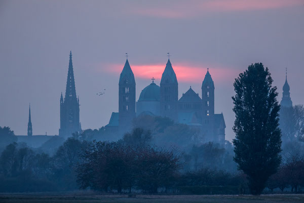 Sonnenuntergang hinter dem Speyerer Dom