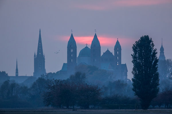 Sonnenuntergang hinter dem Speyerer Dom