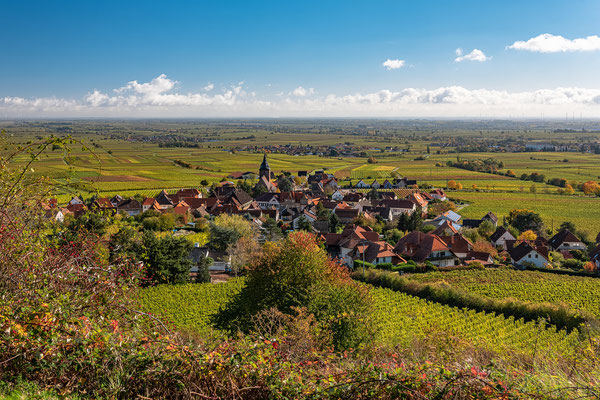 Herbstliche Landschaften bei Burrweiler