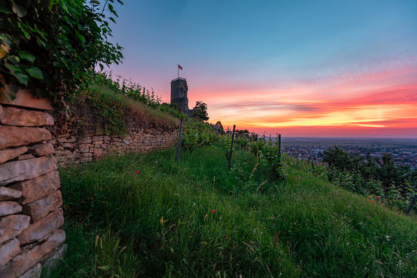 Früher Sommermorgen an der Wachtenburg