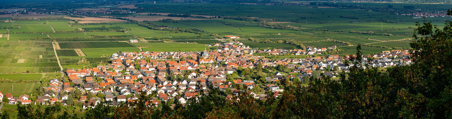 Blick auf Diedesfeld vom Hambacher Schloss