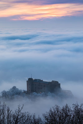 Hambacher Schloss im Nebel
