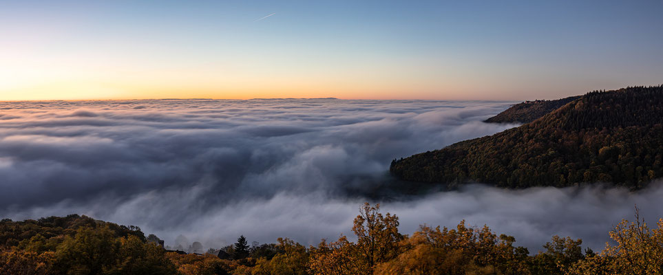Nebelmorgen auf der Ruine Neukastell