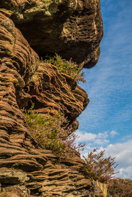 Details des Geiersteins