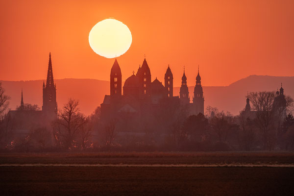 Sonnenuntergang hinter dem Speyerer Dom