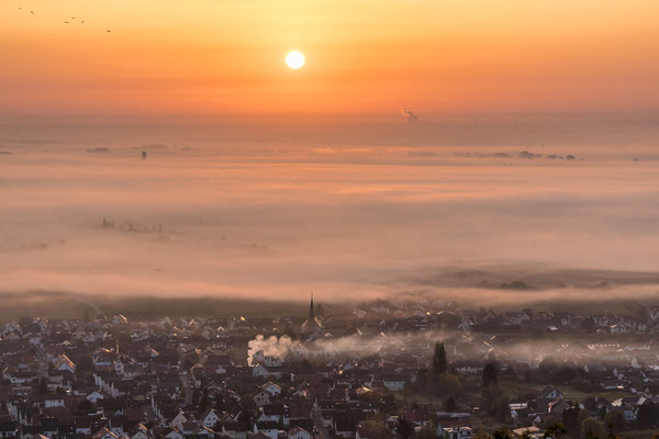 Sonnenaufgang am Hambacher Schloss