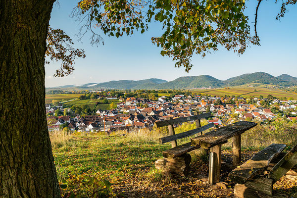 Goldener Herbst auf der Kleinen Kalmit