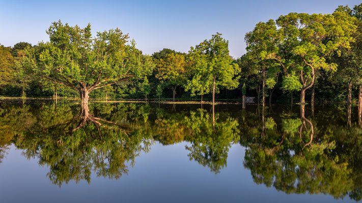 Hochwasser im Stadtpark Speyer