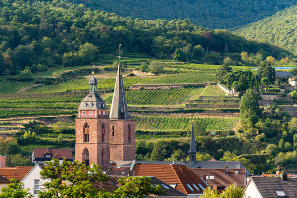 Blick auf die Stiftskirche