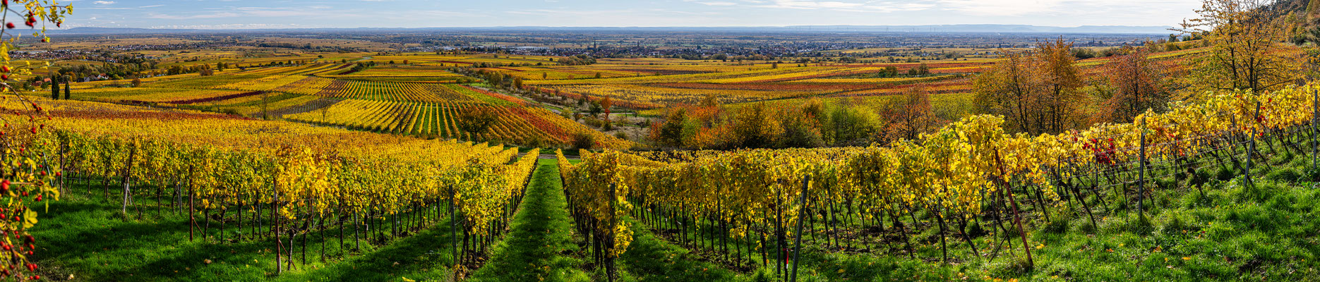 Herbststimmung um Sankt Martin