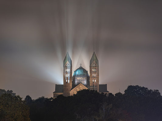 Morgennebel in Speyer